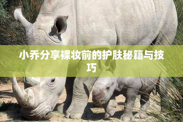 小乔分享裸妆前的护肤秘籍与技巧