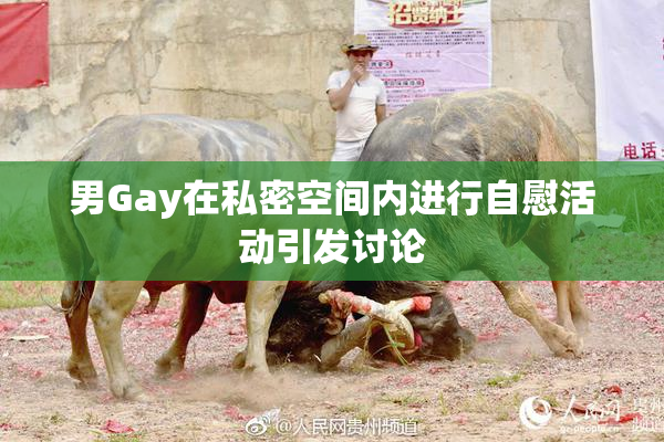 男Gay在私密空间内进行自慰活动引发讨论