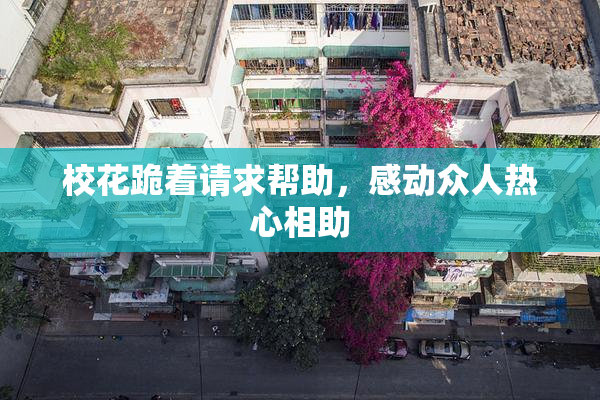 校花跪着请求帮助，感动众人热心相助