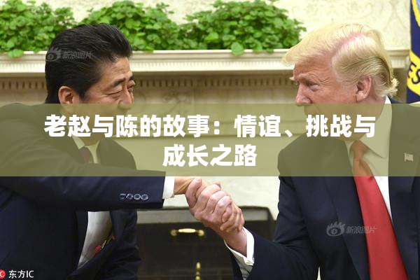 老赵与陈的故事：情谊、挑战与成长之路