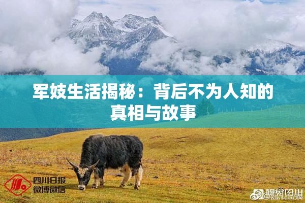 军妓生活揭秘：背后不为人知的真相与故事