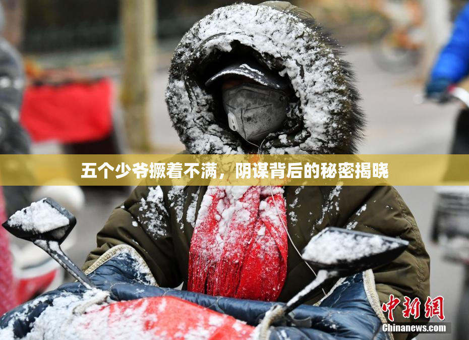 五个少爷撅着不满，阴谋背后的秘密揭晓