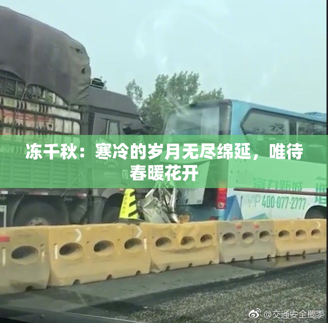 冻千秋：寒冷的岁月无尽绵延，唯待春暖花开