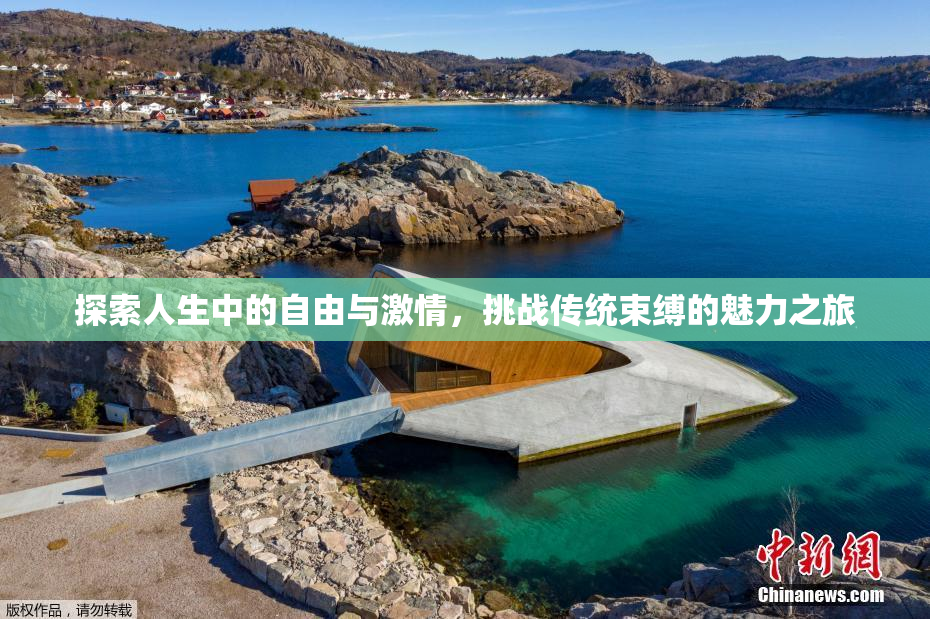 探索人生中的自由与激情，挑战传统束缚的魅力之旅