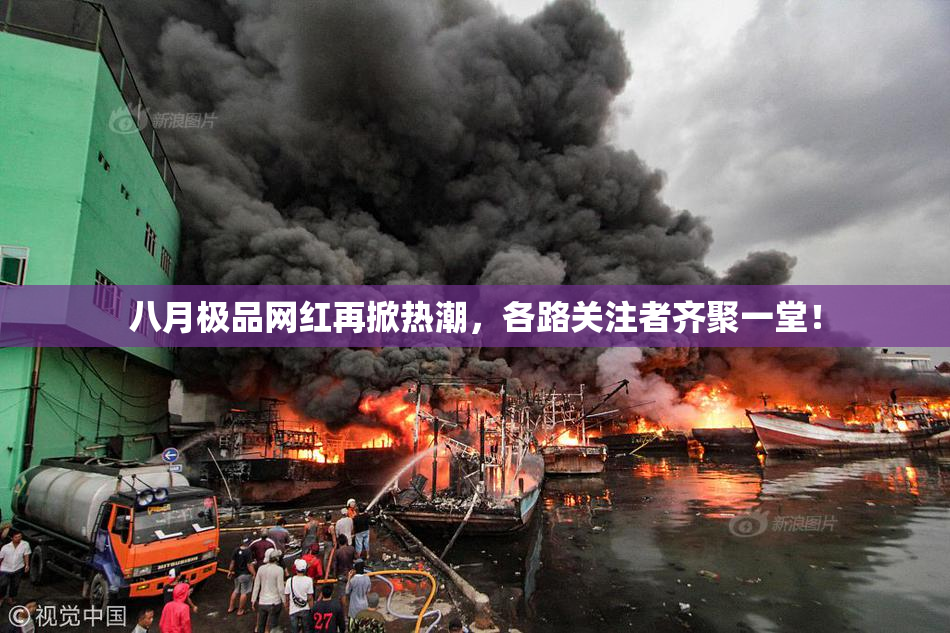 八月极品网红再掀热潮，各路关注者齐聚一堂！