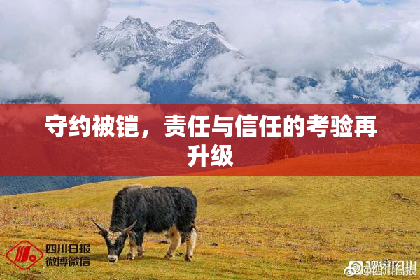 守约被铠，责任与信任的考验再升级