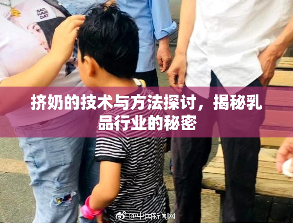 挤奶的技术与方法探讨，揭秘乳品行业的秘密