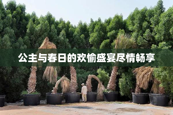 公主与春日的欢愉盛宴尽情畅享