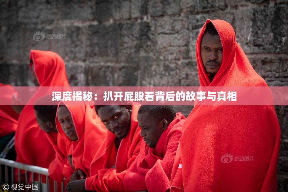 深度揭秘：扒开屁股看背后的故事与真相