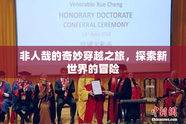 非人哉的奇妙穿越之旅，探索新世界的冒险