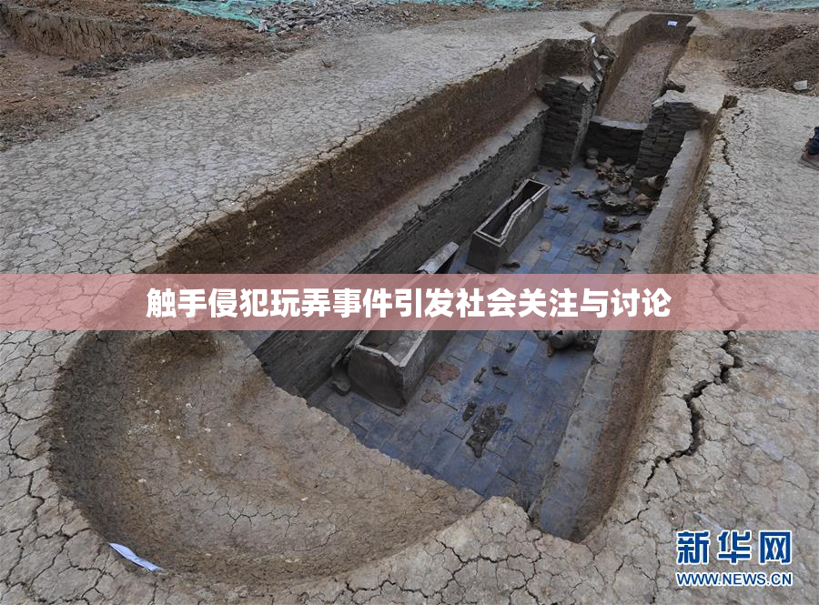 触手侵犯玩弄事件引发社会关注与讨论