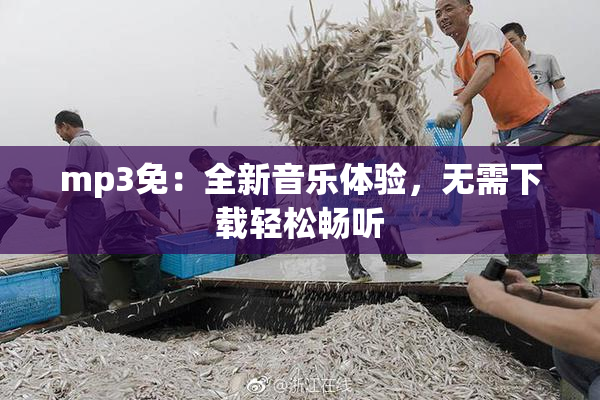 mp3免：全新音乐体验，无需下载轻松畅听