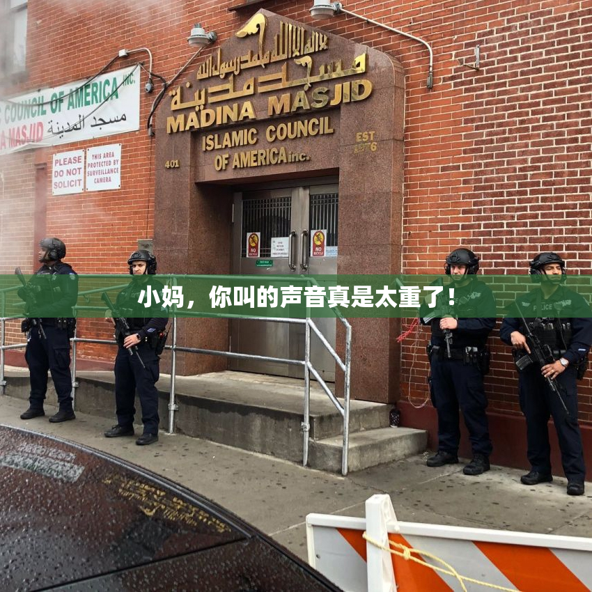 小妈，你叫的声音真是太重了！