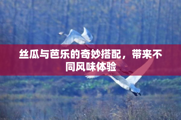 丝瓜与芭乐的奇妙搭配，带来不同风味体验