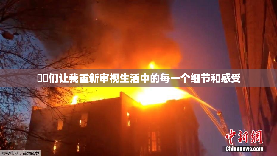 妺妺们让我重新审视生活中的每一个细节和感受