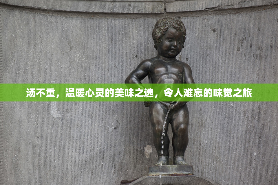 汤不重，温暖心灵的美味之选，令人难忘的味觉之旅