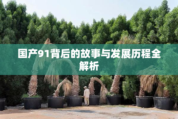 国产91背后的故事与发展历程全解析