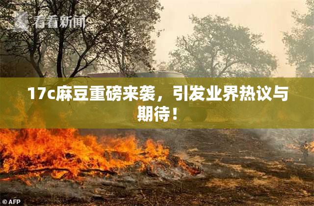 17c麻豆重磅来袭，引发业界热议与期待！