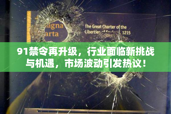 91禁令再升级，行业面临新挑战与机遇，市场波动引发热议！