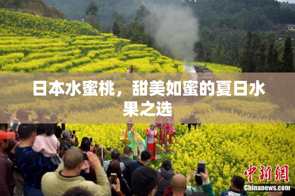 日本水蜜桃，甜美如蜜的夏日水果之选