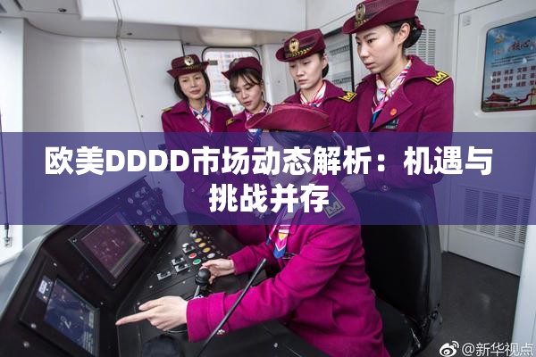 欧美DDDD市场动态解析：机遇与挑战并存