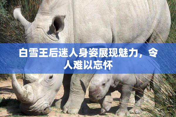 白雪王后迷人身姿展现魅力，令人难以忘怀