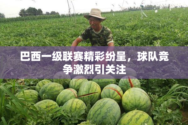 巴西一级联赛精彩纷呈，球队竞争激烈引关注