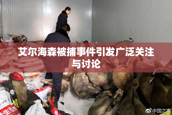 艾尔海森被捕事件引发广泛关注与讨论