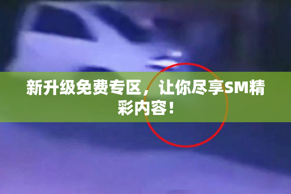 新升级免费专区，让你尽享SM精彩内容！