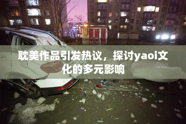 耽美作品引发热议，探讨yaoi文化的多元影响