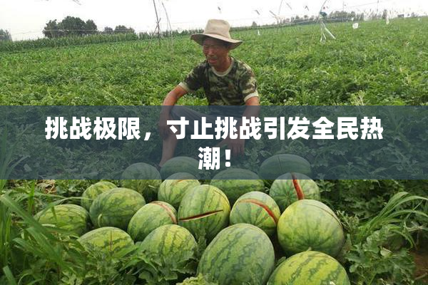 挑战极限，寸止挑战引发全民热潮！
