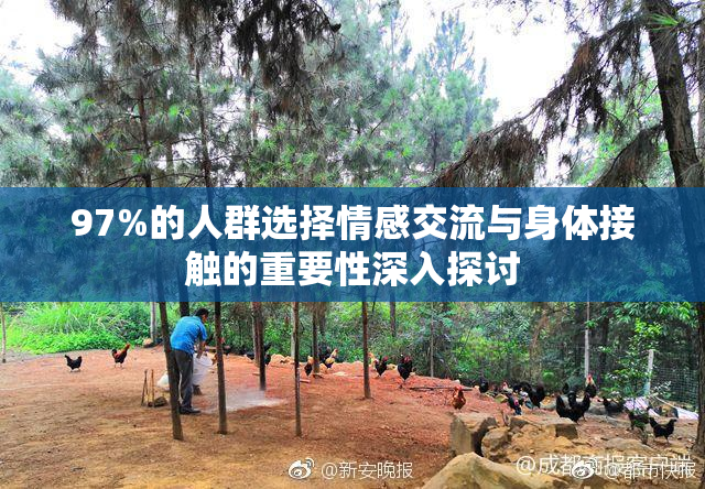 97%的人群选择情感交流与身体接触的重要性深入探讨