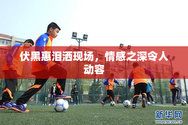 伏黑惠泪洒现场，情感之深令人动容