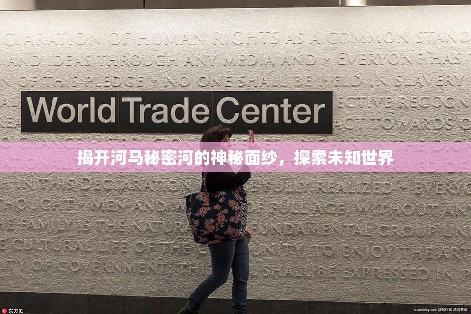 揭开河马秘密河的神秘面纱，探索未知世界