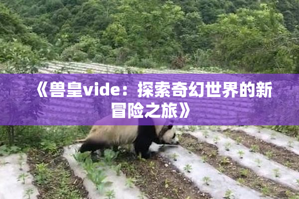 《兽皇vide：探索奇幻世界的新冒险之旅》