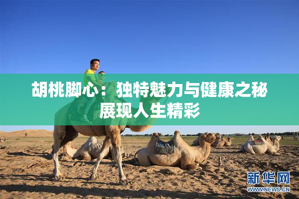 胡桃脚心：独特魅力与健康之秘展现人生精彩