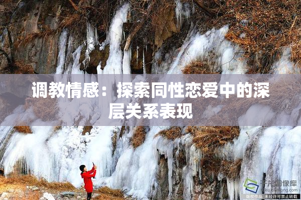 调教情感：探索同性恋爱中的深层关系表现