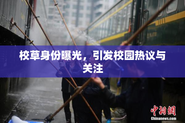 校草身份曝光，引发校园热议与关注