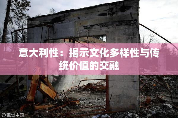 意大利性：揭示文化多样性与传统价值的交融