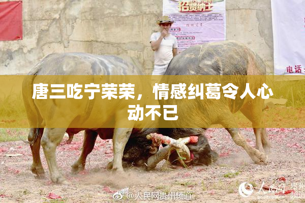 唐三吃宁荣荣，情感纠葛令人心动不已