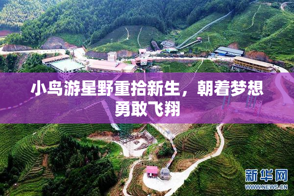 小鸟游星野重拾新生，朝着梦想勇敢飞翔