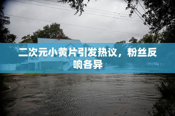 二次元小黄片引发热议，粉丝反响各异
