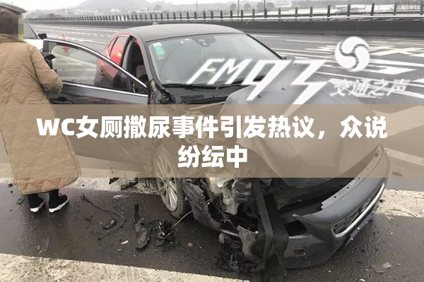 WC女厕撒尿事件引发热议，众说纷纭中