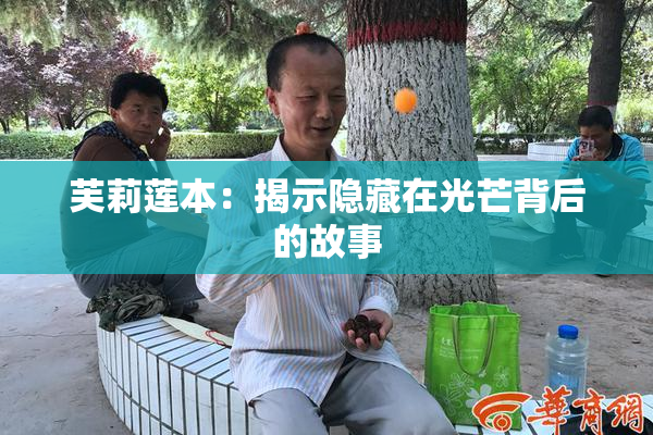 芙莉莲本：揭示隐藏在光芒背后的故事