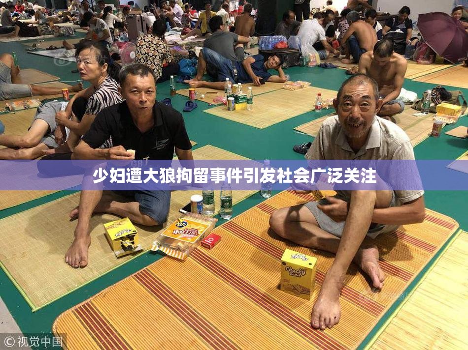 少妇遭大狼拘留事件引发社会广泛关注