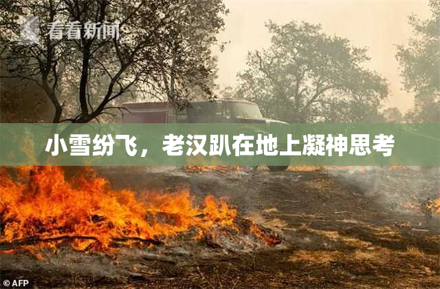 小雪纷飞，老汉趴在地上凝神思考