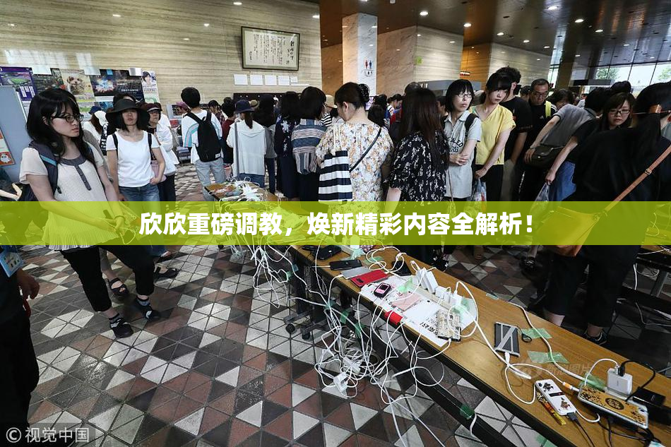 欣欣重磅调教，焕新精彩内容全解析！