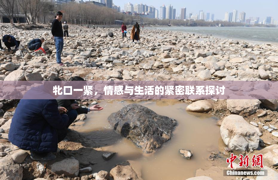 牝口一紧，情感与生活的紧密联系探讨