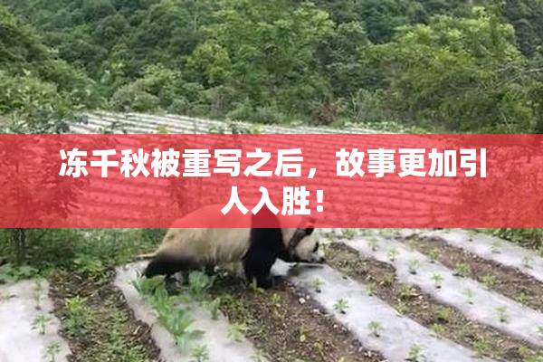 冻千秋被重写之后，故事更加引人入胜！