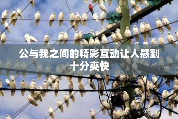 公与我之间的精彩互动让人感到十分爽快